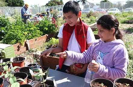 Children learning at the Little Sprouts Garden Academy